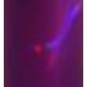 PURPLE COLUMN